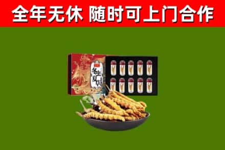 淮南烟酒回收冬虫夏草礼盒.jpg